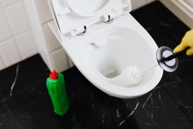Do You Keep Your Toilet Brush Clean?
