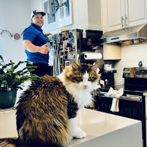 Pet-friendly house cleaning service in Garland by Dallas Sunrise Maids