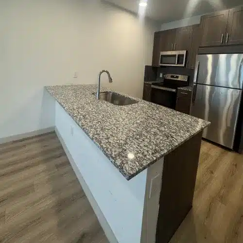 Clean kitchen with granite countertop and stainless steel appliances after maid service by Dallas Sunrise Maids | House Cleaning Plano, TX